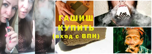 сатива Каменск-Шахтинский