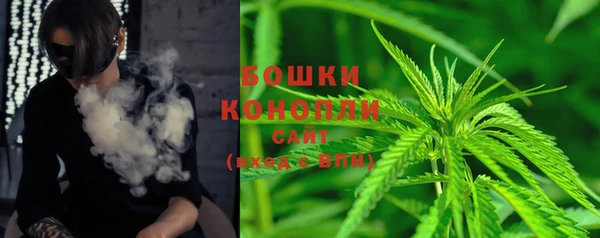 сатива Каменск-Шахтинский