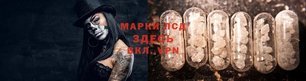 сатива Каменск-Шахтинский