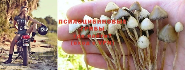 герыч Каменка